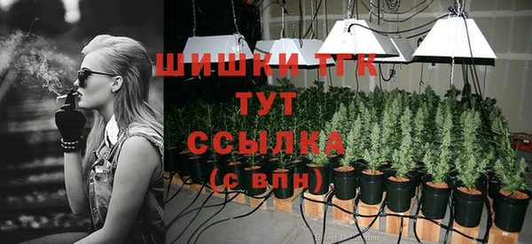МДМА Бородино