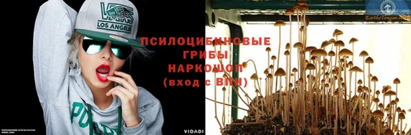 гашик Бронницы