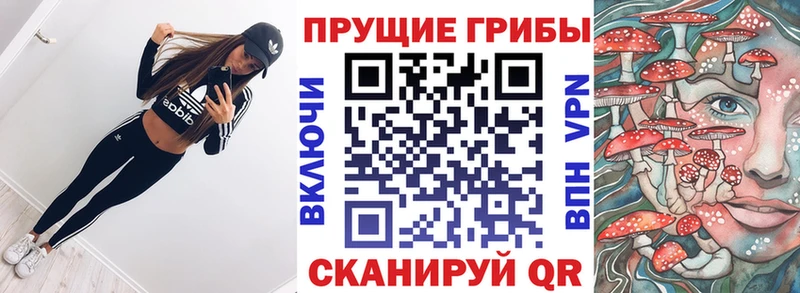 что такое   Дюртюли  Галлюциногенные грибы Cubensis 